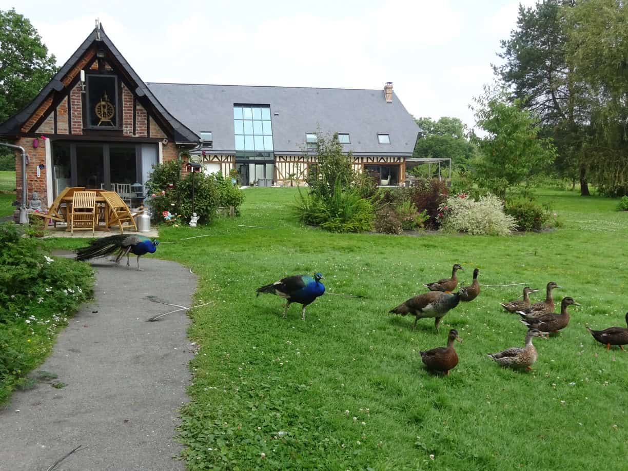 Domaine touristique de 850 m² sur un terrain de 8 ha dans l’Eure (27)