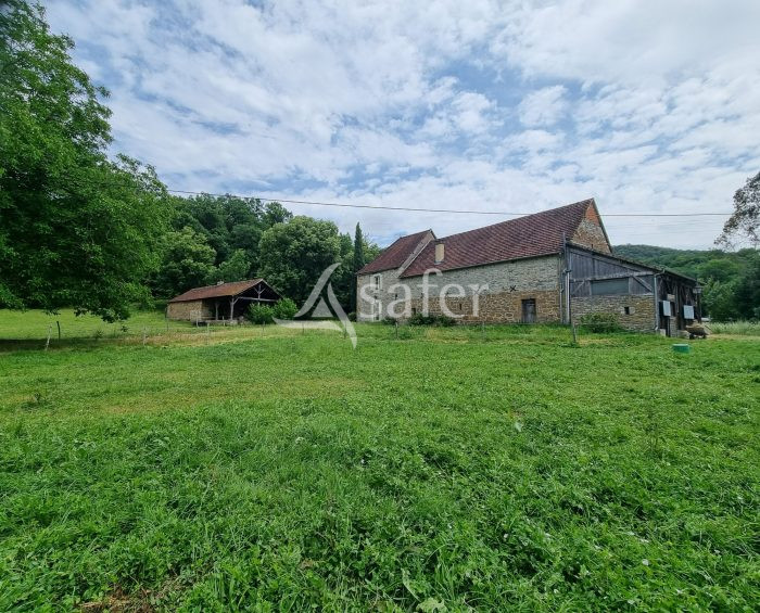 À vendre – Propriété équestre de 9 hectares avec maison de 175 m² à Martel – Lot (46)