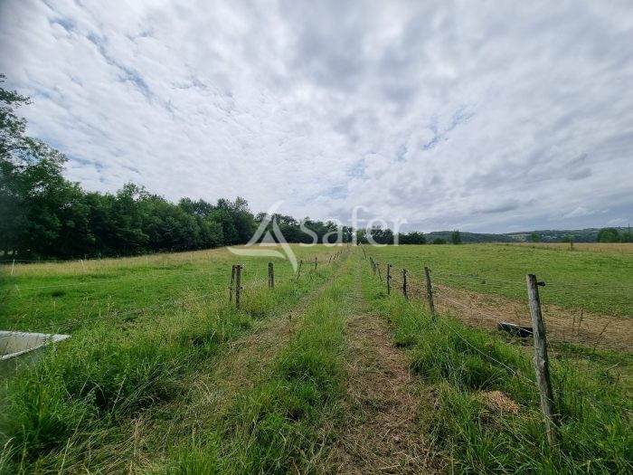 À vendre – Propriété équestre de 9 hectares avec maison de 175 m² à Martel – Lot (46)