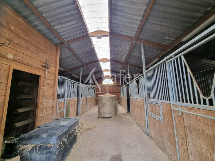 À vendre – Propriété équestre de 9 hectares avec maison de 175 m² à Martel – Lot (46)