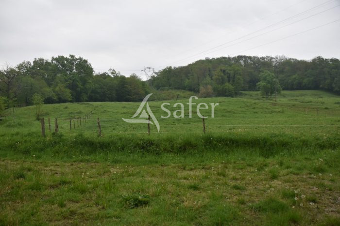À vendre – Propriété équestre de 9 hectares avec maison de 175 m² à Martel – Lot (46)